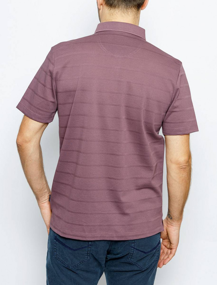 Мужское поло короткий рукав  C5 21524.2123/7209