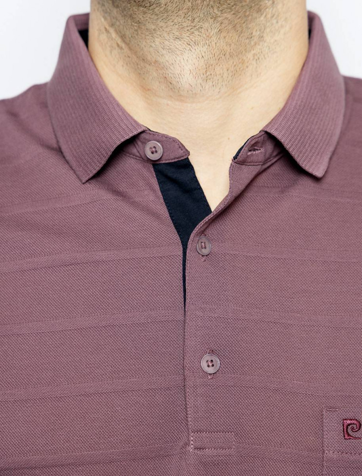 Мужское поло короткий рукав  C5 21524.2123/7209