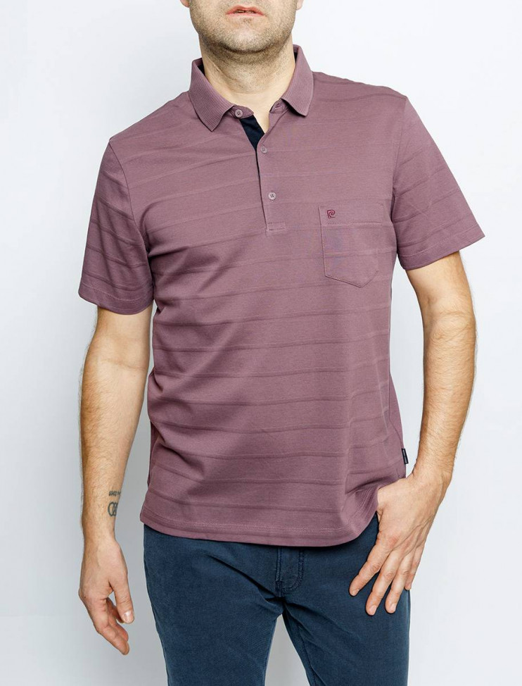 Мужское поло короткий рукав  C5 21524.2123/7209