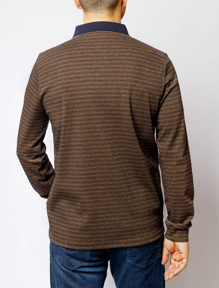 Мужское поло длинный рукав  C5 30314.3026/8215