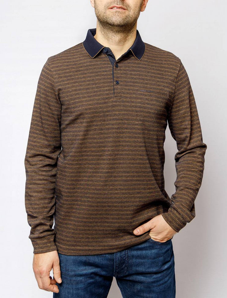 Мужское поло длинный рукав  C5 30314.3026/8215