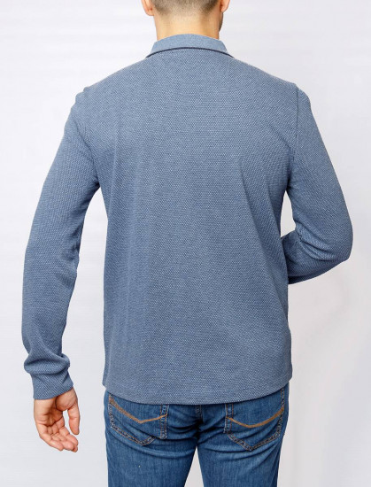 Мужское поло длинный рукав  C5 30365.3029/6124