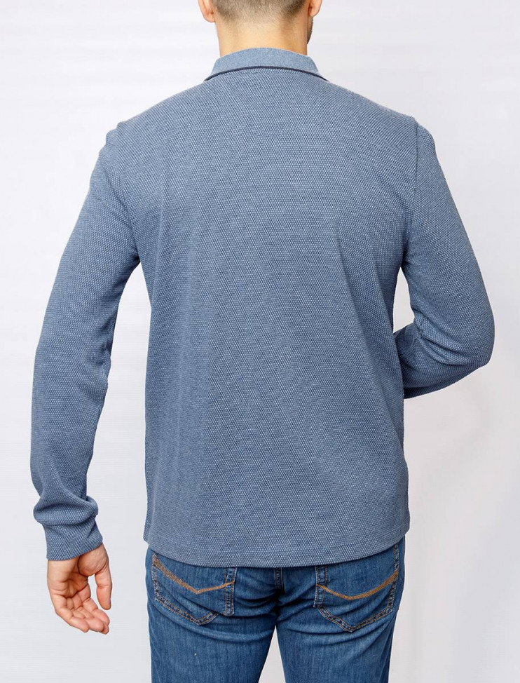 Мужское поло длинный рукав  C5 30365.3029/6124