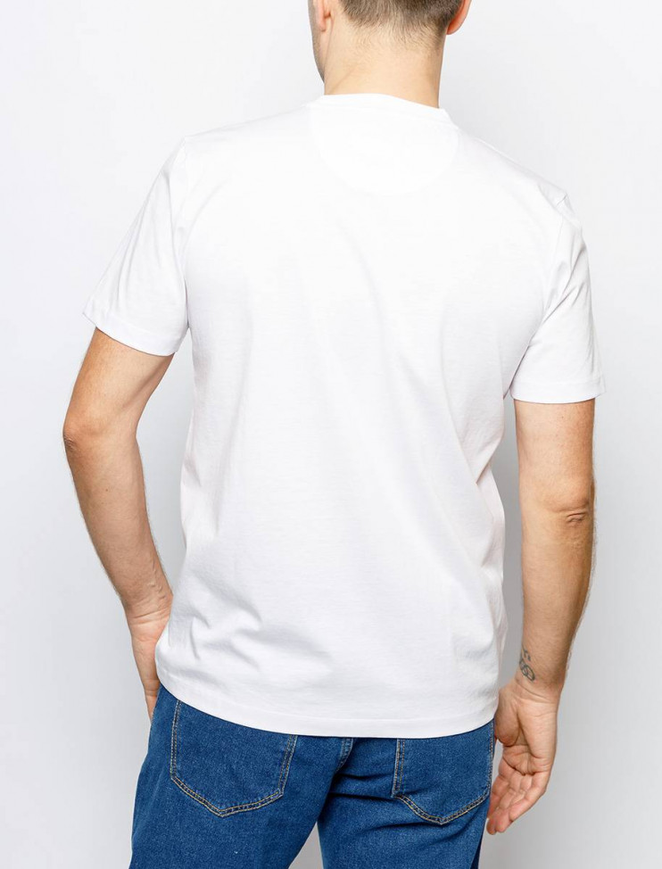 Мужская футболка короткий рукав PIERRE CARDIN C5 21510.2122/1010