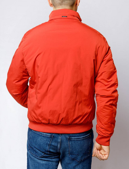 Мужская короткая куртка PIERRE CARDIN C8 10071.0013/4111