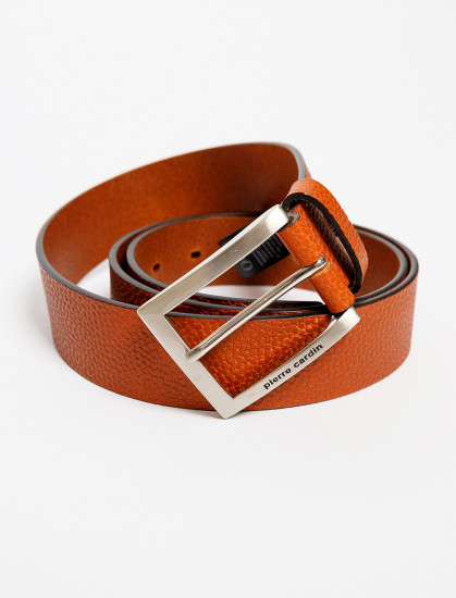 Мужской ремень PIERRE CARDIN 1070126/022