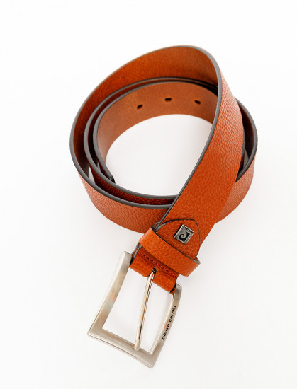 Мужской ремень PIERRE CARDIN 1070126/022