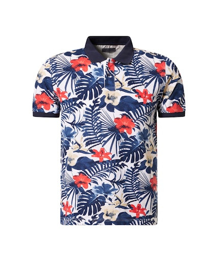 Мужское поло короткий рукав  C5 20974.2075/1019