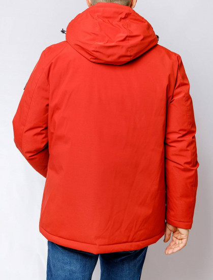 Мужская куртка  PIERRE CARDIN C8 10077.0002/4111