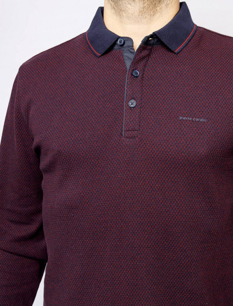 Мужское поло длинный рукав  C5 30324.3027/4221