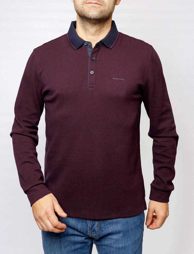 Мужское поло длинный рукав  C5 30324.3027/4221