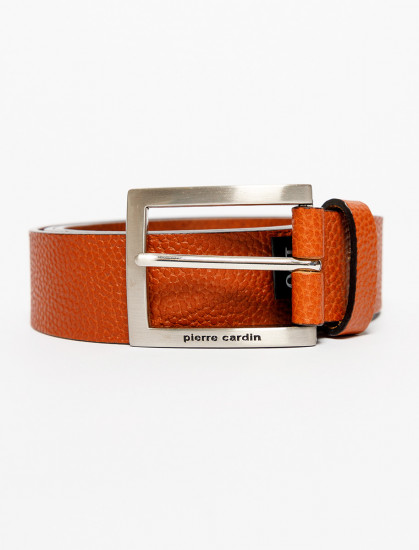 Мужской ремень PIERRE CARDIN 1070307/022