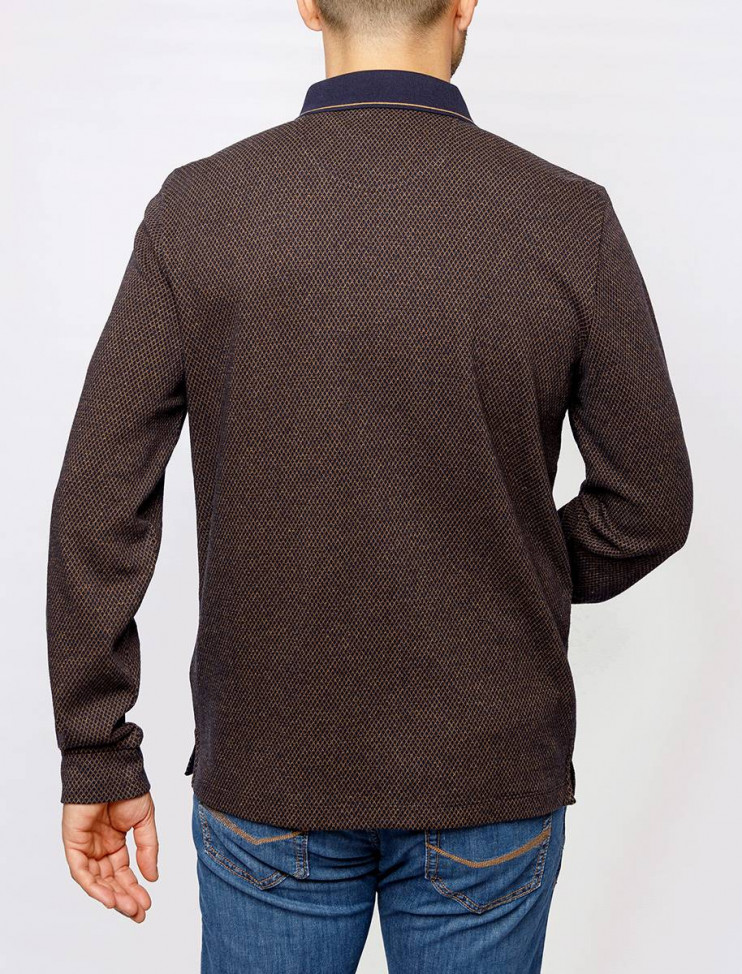 Мужское поло длинный рукав  C5 30324.3027/8215