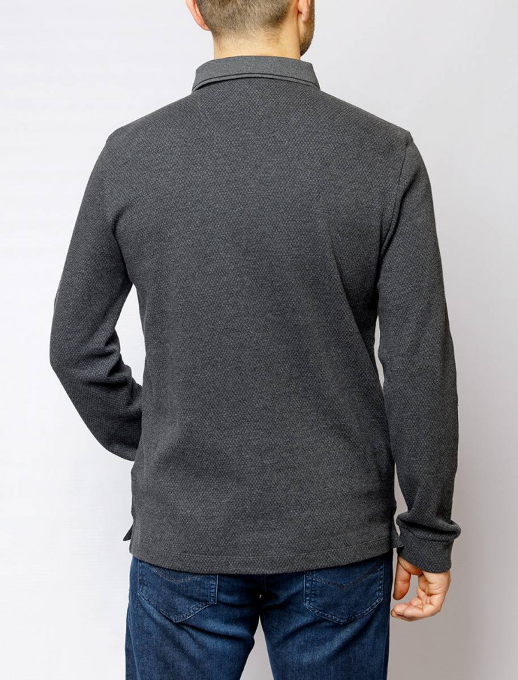 Мужское поло длинный рукав  C5 30324.3027/9314