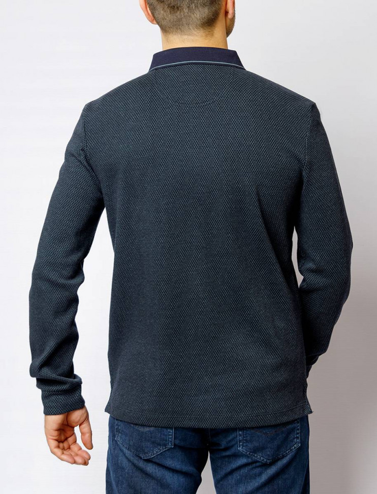 Мужское поло длинный рукав  C5 30324.3027/5222