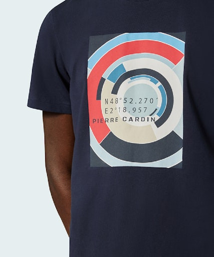 Мужская футболка короткий рукав  C5 21050.2101/6323