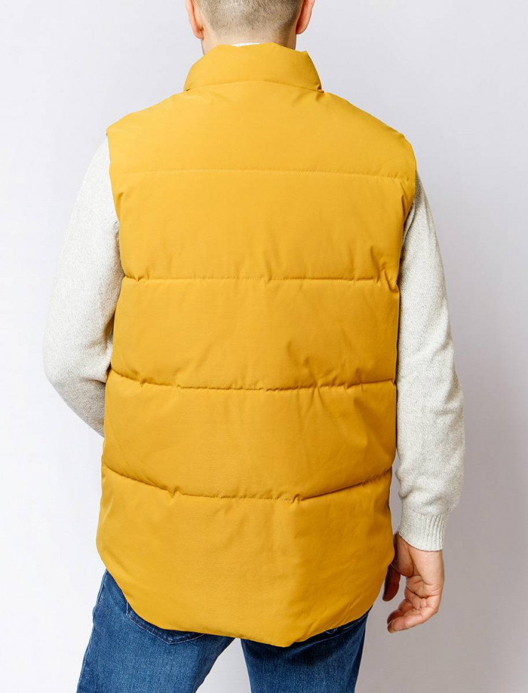 Мужской жилет PIERRE CARDIN C8 10081.0002/8016