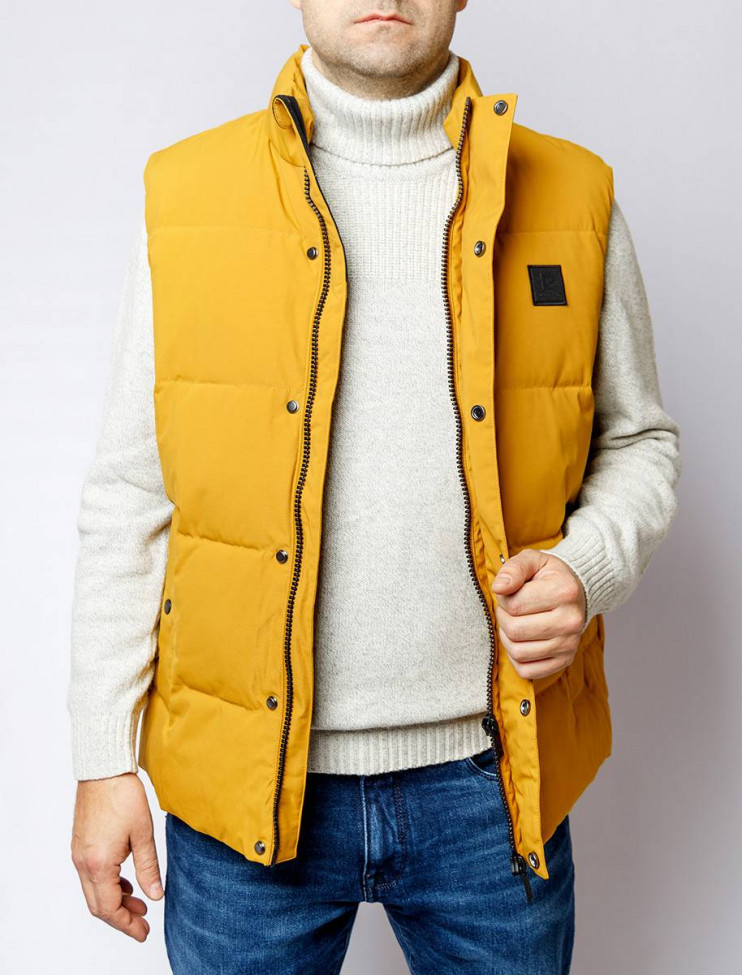 Мужской жилет PIERRE CARDIN C8 10081.0002/8016